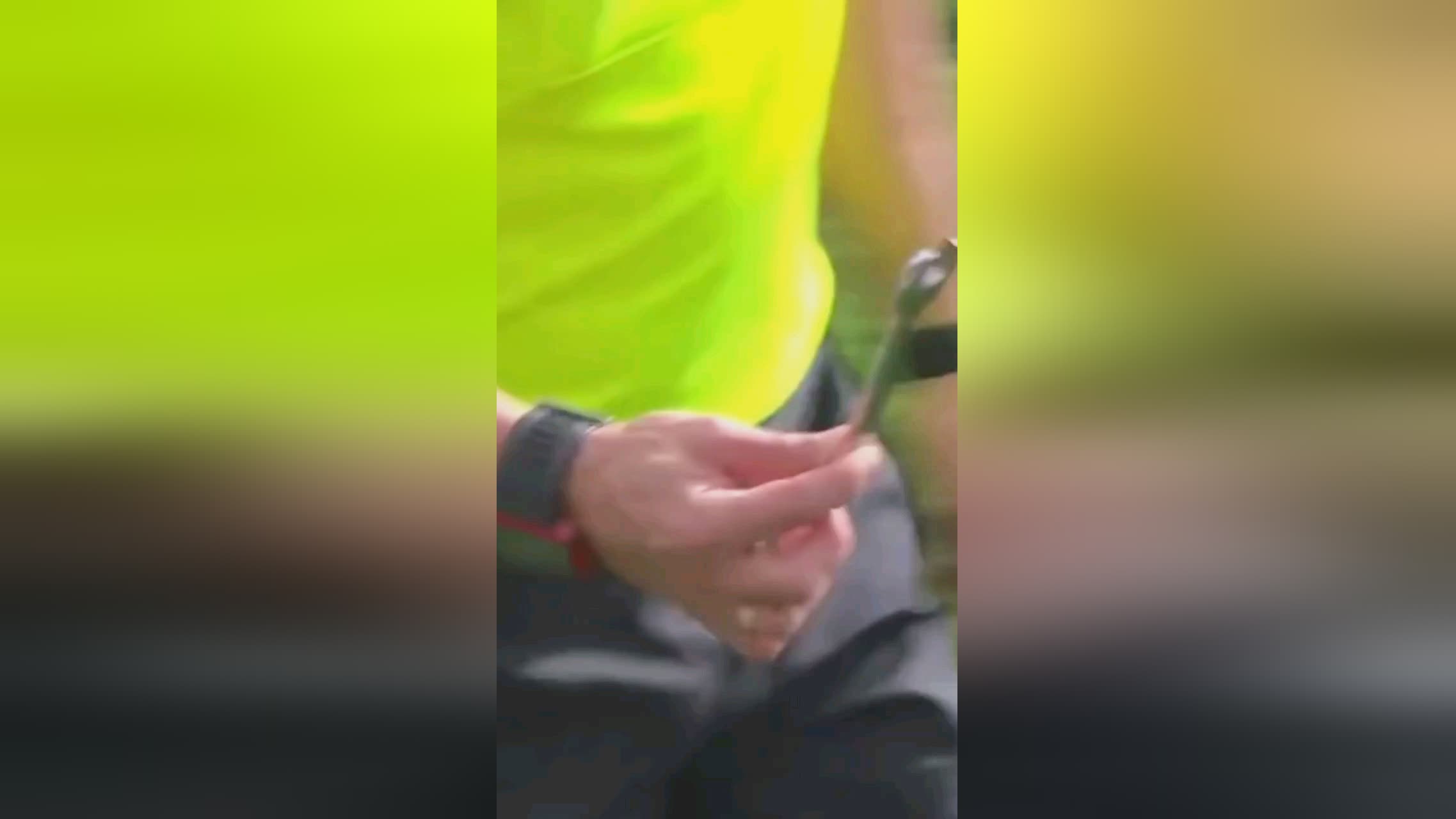球队需